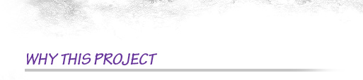 Why this project