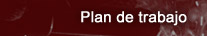Plan de trabajo