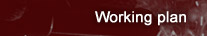 Working plan
